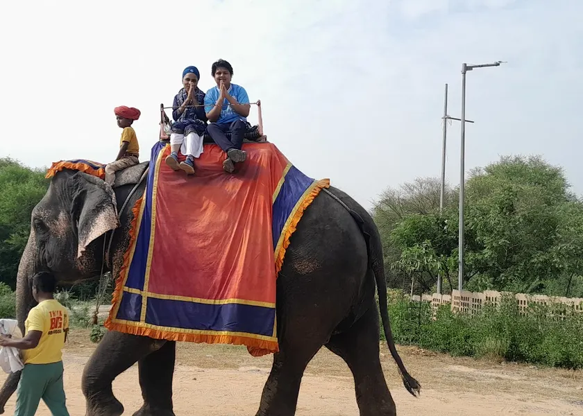 Decorated elephant at Amer