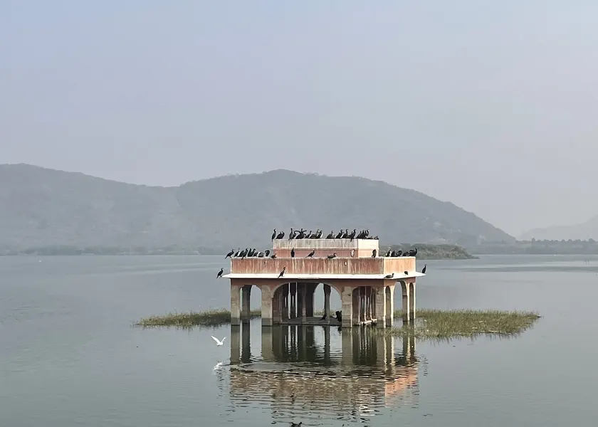 Jal Mahal in Man Sagar Lake